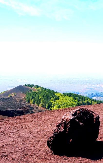 ETNA CRATERI SILVESTRI 