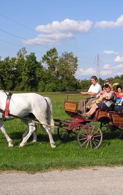 Gita in Carrozza nei Magredi