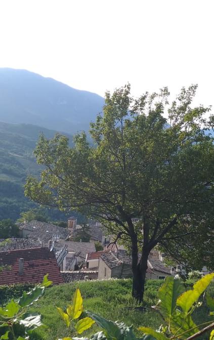 Vista dal balcone