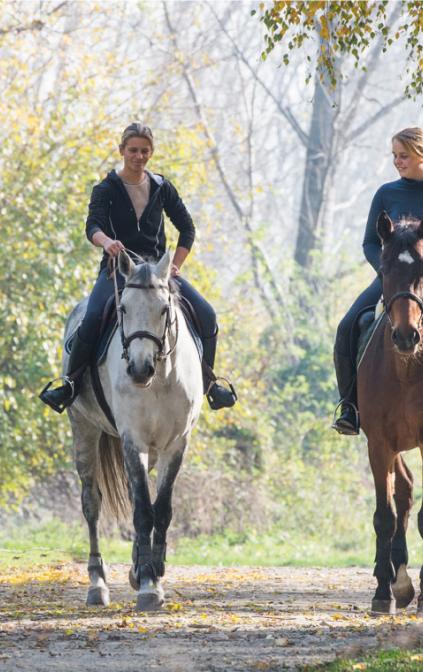 Passeggiata a Cavallo