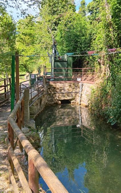 La passeggiata immersiva nella natura è rigenerante per il corpo e la mente, in grado di staccare dalla quotidianità