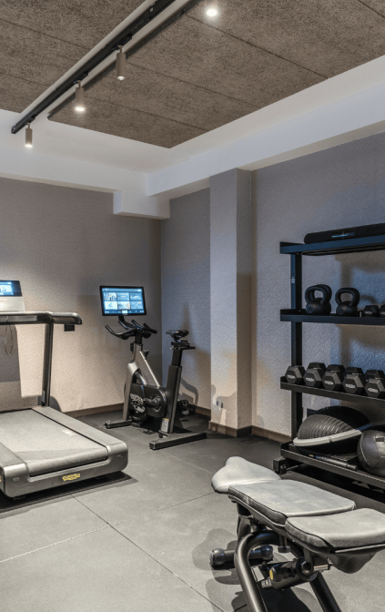 Palestra