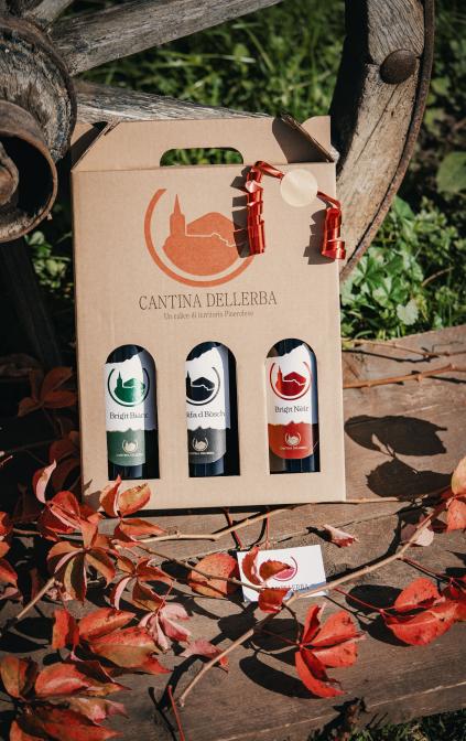 Tre tipologie di vino proposte dalla nostra cantina